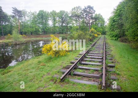 Ancienne voie ferrée rouillée en bois à Gelderland, Hollande Banque D'Images