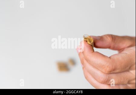 Gros plan avec une capsule d'herbe sur fond blanc. Concept de microdosage. Thérapie de psychédéliques. Dépression, traitement de l'anxiété Banque D'Images