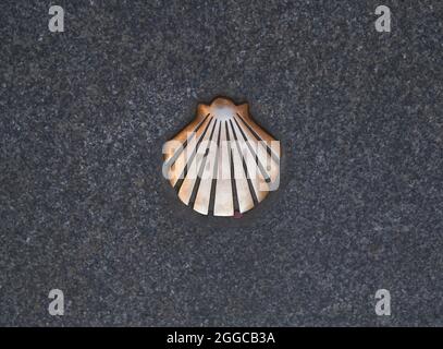 un pèlerin trouve une coquille sur le sol pendant toute la route Banque D'Images