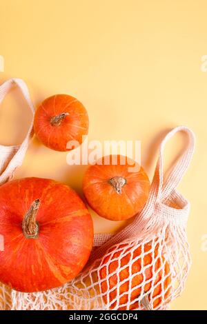 Citrouilles mûres en sachet en maille sur fond jaune. Récolte d'automne et Thanksgiving concept. Produits agricoles écologiques. Copier l'espace. Banque D'Images