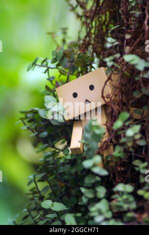 Un carton dans le jardin avec un arrière-plan bokeh, dans un foyer peu profond Banque D'Images