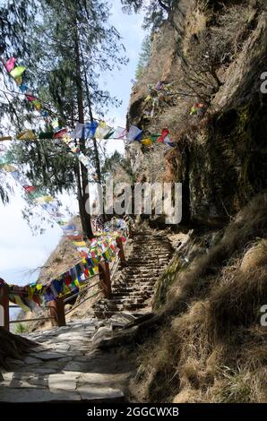 Sentier de randonnée jusqu'au monastère de Paro Taktsang (Tiger Nest's) avec drapeaux de prière tibétains, dans la vallée supérieure de Paro, au Bhoutan Banque D'Images