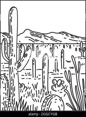 Illustration mono-ligne du parc national de Saguaro dans le comté de Pima, dans le sud-est de l'Arizona, États-Unis en affiche rétro noir et blanc de style monoline. Illustration de Vecteur