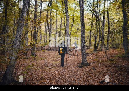 Deux hommes amis avec sac à dos randonnée ensemble dans la nature d'automne. Un routard mâle se détend et s'amuser à marcher sur le sentier de montagne. Style de vie sain en extérieur h Banque D'Images