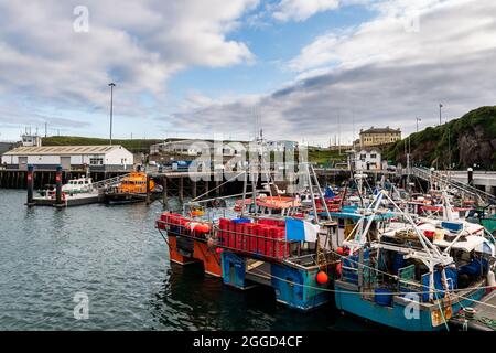 Port de pêche à Dunmore East, comté de Waterford, Irlande.