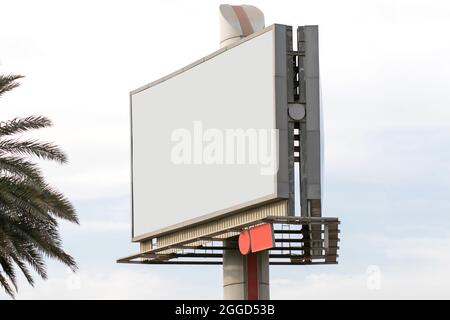 Panneau d'affichage blanc vierge transparent avec Palm Tree dans la ville Banque D'Images