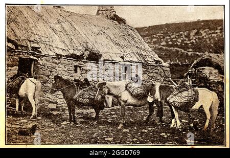 (1914 découpe à la presse - poneys Shetland utilisés comme chevaux de meute dans les Shetlands, Écosse ) à l'arrière est un cottage de crofters typiquement chaume de l'époque. Les sacs de valise auraient été tissés à la main sur l'île qui a également été / est connu sous le nom de Zetland, Hjetland et Hjaltland Banque D'Images