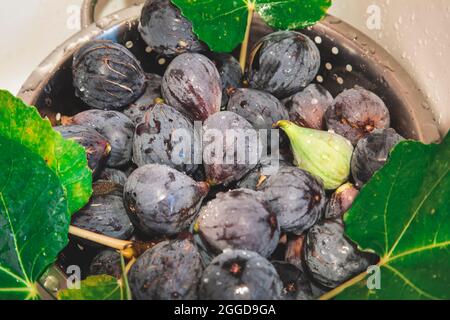 Gros plan des figues humides dans un bac de vidange Banque D'Images