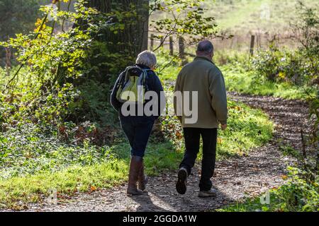 couple marchant dans les bois ensemble, promenade d'automne dans la forêt, couple marchant dans les bois les uns avec les autres, promenade dans la forêt, promenade dans les bois. Banque D'Images