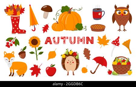 Collection automne colorée, illustrations vectorielles Illustration de Vecteur