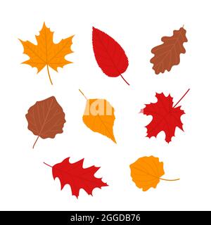 Ensemble de feuilles d'automne, illustration vectorielle plate Illustration de Vecteur