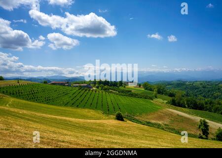 Paysage rural au printemps à Langhe près de Dogliani, province de Cuneo, Piémont, Italie, site du patrimoine mondial de l'UNESCO. Banque D'Images