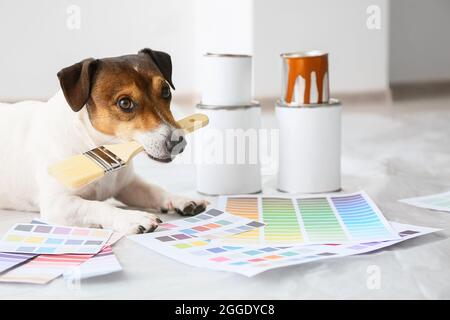 Chien mignon avec des échantillons de couleur de pinceau et de peinture dans la chambre Banque D'Images