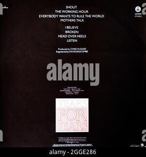 Larmes pour peurs: 1985. Housse arrière en LP : « strings fron the big chair » Banque D'Images