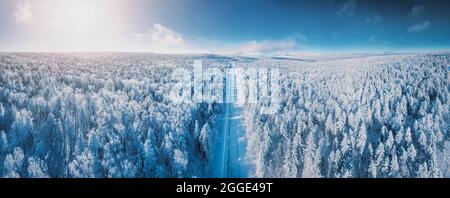 La photo de drone de neige couvrait les arbres à feuilles persistantes Banque D'Images