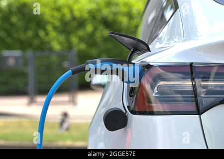 Schleswig, Allemagne. 25 juillet 2021. Schleswig, modèle 3 blanc de Tesla avec une prise de charge Mennekes bleue sur une colonne de charge dans Friedrich-Ebert-Strasse. Pour usage éditorial uniquement Réservé à un usage éditorial Credit: dpa/Alay Live News Banque D'Images