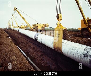 Une rangée de tracteurs pose-canalisations Caterpillar 583 avec flèches latérales, qui soulèvent le gazoduc Fens dans une tranchée récemment creusée. Les travaux de mise en place du gazoduc de Fens ont débuté en juin 1967 et ont été une coentreprise entre le génie civil de Laing et les entreprises françaises d'Entrpose et des Grands travaux de Marseille (GTM) pour le Conseil du gaz. Plus de 600 hommes ont travaillé sur le projet de pose de tuyaux en acier de 36 pouces de diamètre en commençant à West Winch à Norfolk et en courant jusqu'à l'endroit où il a été relié au prochain contrat au château de Woodcroft à Cambridgeshire. Le pipeline traverse quatre rivières et de nombreuses digues et fossés. Banque D'Images