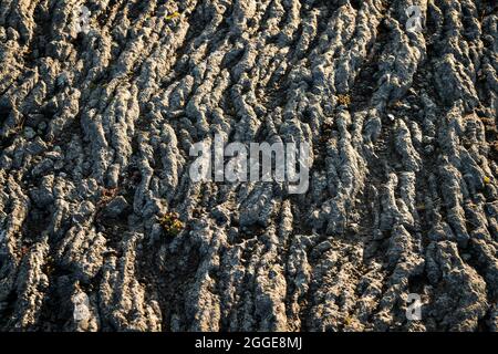 Lave solidifiée, coulées de lave, Heroubreioarlindir, Highlands islandais, Islande Banque D'Images