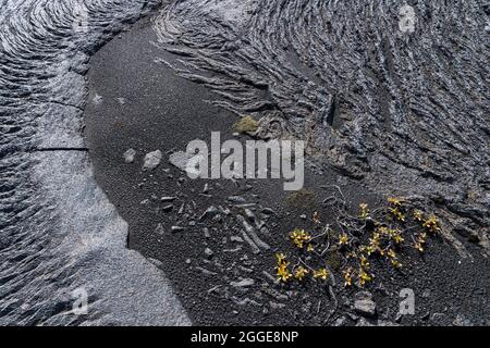 Lave solidifiée, coulées de lave, Odaoahraun, montagnes islandaises, Islande Banque D'Images