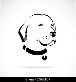 Image vectorielle de la tête d'un chien du Labrador sur fond blanc. Illustration vectorielle superposée facile à modifier. Animaux. Illustration de Vecteur