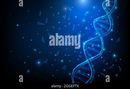 La structure des molécules d'ADN de fer faible maillage poly composé de points, des lignes et des formes sur fond bleu foncé. Concept de la science et de la technologie Illustration de Vecteur