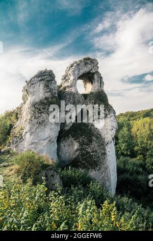 Okiennik wielki rock, Jura Krakowsko Czestochowska, Pologne Banque D'Images