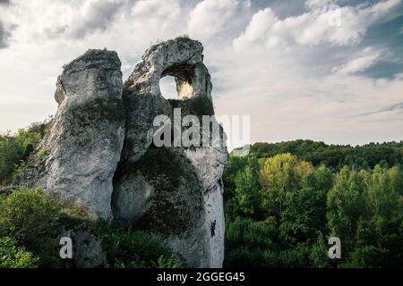 Okiennik wielki rock, Jura Krakowsko Czestochowska, Pologne Banque D'Images