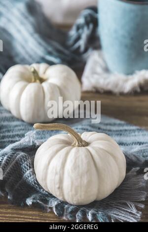 Deux mini-citrouilles blanches avec un foulard en laine sur une table en bois, une tasse de café en arrière-plan, une décoration d'automne dans les couleurs gris et blanc, verticale. Banque D'Images