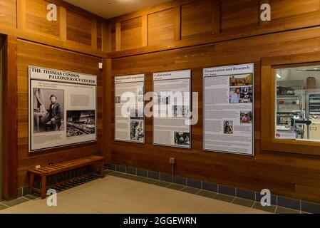 Exposition au monument national John Day Fossil Beds. Kimberly, Oregon, États-Unis. Banque D'Images