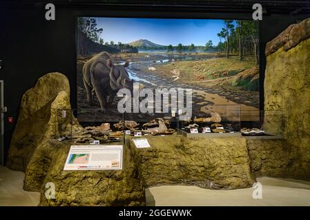 Exposition au monument national John Day Fossil Beds. Kimberly, Oregon, États-Unis. Banque D'Images