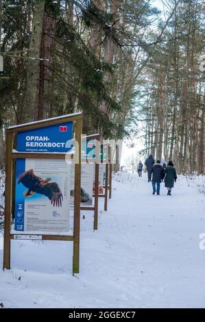 Spit de Keronian, région de Kaliningrad, Russie, 31 janvier 2021. Affiches d'animaux et d'oiseaux rares. Stands avec des photos d'espèces menacées de flore et Banque D'Images