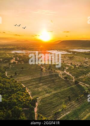 Un magnifique coucher de soleil sur l'horizon de Pak Chong en Thaïlande avec des paysages pittoresques et des oiseaux volant dans le soleil chaud. Banque D'Images