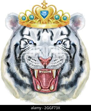 Tigre dessiné à la main avec couronne dorée. Aquarelle tête de tigre blanche, yeux bleus Banque D'Images