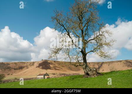 Dépression géologique naturelle avec un arbre de haut, un bâtiment abandonné et une lande sous le ciel avec des nuages à Hole of Horcum, Goathland, Royaume-Uni. Banque D'Images