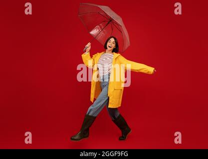 Prise de vue en longueur d'une femme en imperméable jaune marchant avec un parapluie isolé sur fond rouge studio, espace libre. Concept de saison d'automne humide Banque D'Images