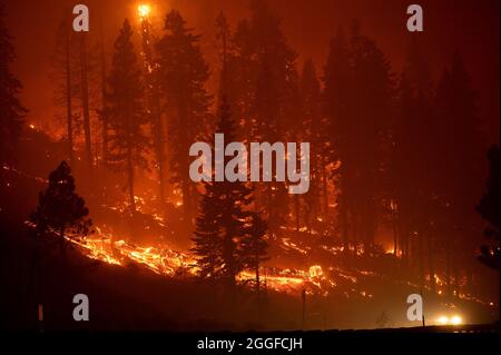 Stateline, NV, États-Unis. 30 août 2021. Un incendie brûle sur l'autoroute 50 à l'est d'Echo Summit pendant le feu Caldor le lundi 30 août 2021 dans le comté d'El Dorado. (Image de crédit : © Paul Kitagaki Jr./ZUMA Press Wire) Banque D'Images