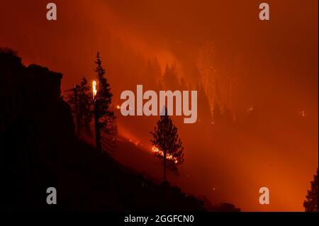 Stateline, NV, États-Unis. 30 août 2021. Un incendie brûle sur l'autoroute 50 à l'est d'Echo Summit pendant le feu Caldor le lundi 30 août 2021 dans le comté d'El Dorado. (Image de crédit : © Paul Kitagaki Jr./ZUMA Press Wire) Banque D'Images