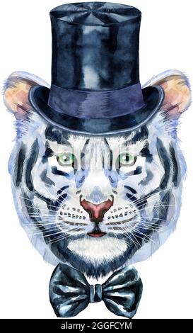 Tigre blanc coloré en chapeau cylindrique. Illustration d'aquarelle d'animal sauvage sur fond blanc Banque D'Images