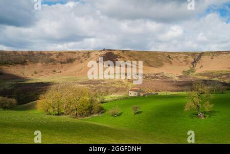 Dépression géologique naturelle avec un arbre de haut, un bâtiment abandonné et une lande sous le ciel avec des nuages à Hole of Horcum, Goathland, Royaume-Uni. Banque D'Images