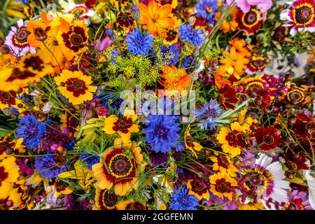 Totnes, 27 août 2021 : fleurs à vendre sur le marché hebdomadaire de Totnes, Devon Banque D'Images