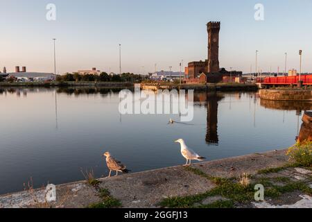 Birkenhead, Royaume-Uni: Alfred Dock et Central Hydraulic Tower, construit en 1863 pour fournir la puissance pour le mouvement des portes-écluses et des ponts de bascules. Banque D'Images