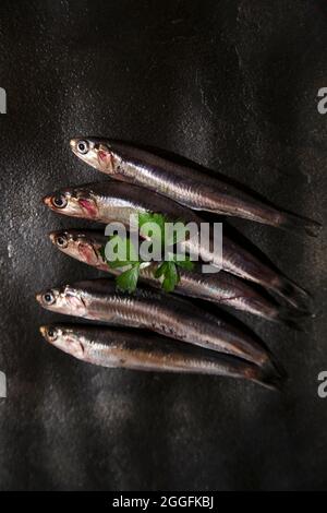 Présentation de la série anchois brut au-dessus de fond pierre noire Banque D'Images