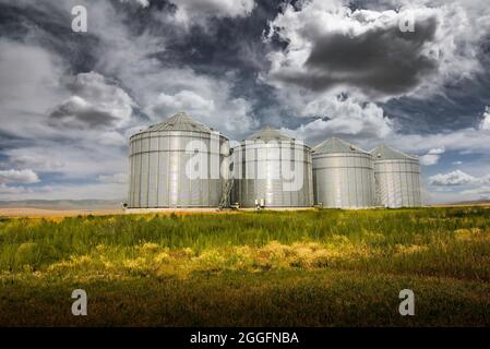 Silos à grains utilisés pour l'industrie agricole sous un ciel spectaculaire en Alberta Canada. Banque D'Images