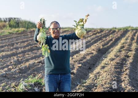 Homme âgé avec du kohlrabi fraîchement récolté. Portrait d'un homme âgé avec des produits maison dans le jardin. L'essor du mode de vie durable. Banque D'Images