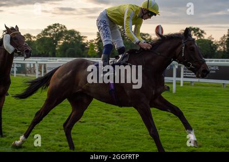 Windsor, Berkshire, Royaume-Uni. 28 août 2021. Un cheval sur le chemin du retour après une course en tant que pilotes ayant un après-midi et une soirée super sur le Bank Holiday samedi aux courses de Windsor suivi d'un concert de Jess Glynne. Crédit : Maureen McLean/Alay Banque D'Images
