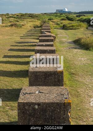 Ligne de blocs-citernes anti de la Seconde Guerre mondiale avec la centrale électrique de Sizewell en arrière-plan, Minsmere Beach, Suffolk, Angleterre Banque D'Images