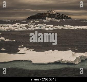 Paysage de l'île Paulet, vue de la mer avec icebergs, Antartica Banque D'Images