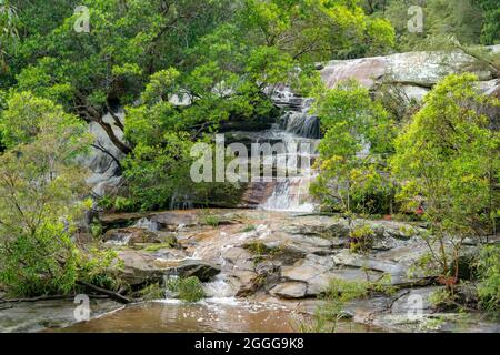 partie supérieure des chutes de somersby près de gosford sur la côte centrale de nsw Banque D'Images