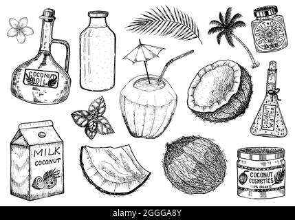 Feuilles de noix de coco et de palme, conditionnement de lait, bouteille de verre, beurre, pot à crème cosmétique, cocktail avec parapluie. Style vintage. Illustration de la nourriture tropicale Illustration de Vecteur