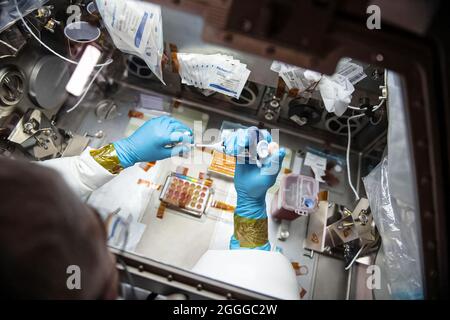 Étudier l'immunité céleste; comment la gravité affecte la réponse immunitaire, à bord de la Station spatiale internationale. Banque D'Images